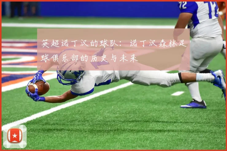 英超诺丁汉的球队：诺丁汉森林足球俱乐部的历史与未来