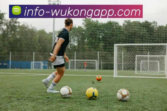 App Interface Preview