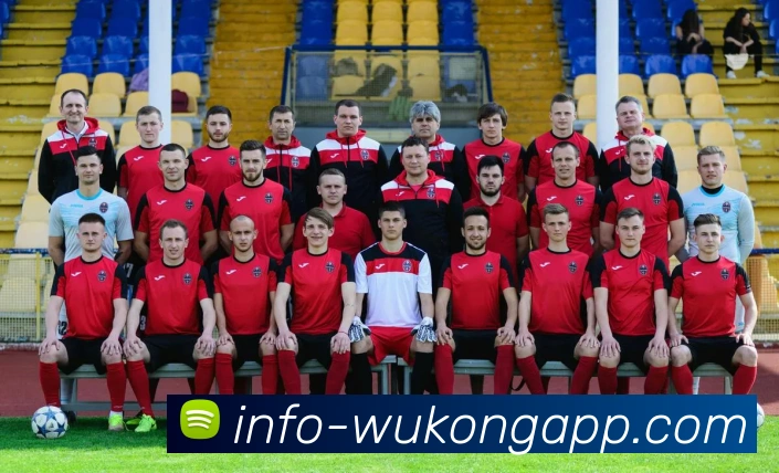 悟空体育appAPP 封面图